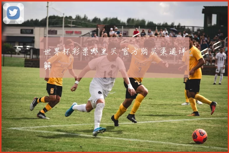 世界杯彩票哪里买 官方购买渠道详解