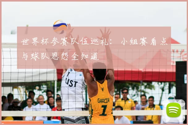 世界杯参赛队伍巡礼：小组赛看点与球队恩怨全知道