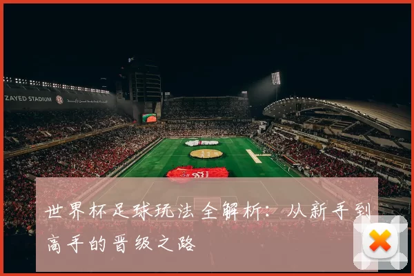 世界杯足球玩法全解析：从新手到高手的晋级之路