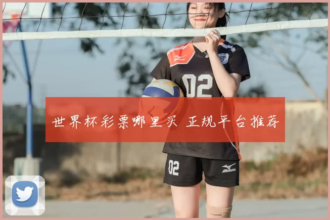 世界杯彩票哪里买 正规平台推荐