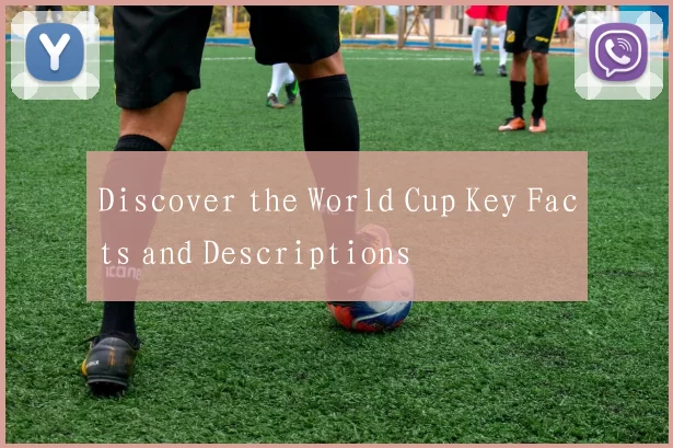 Discover the World Cup Key Facts and Descriptions