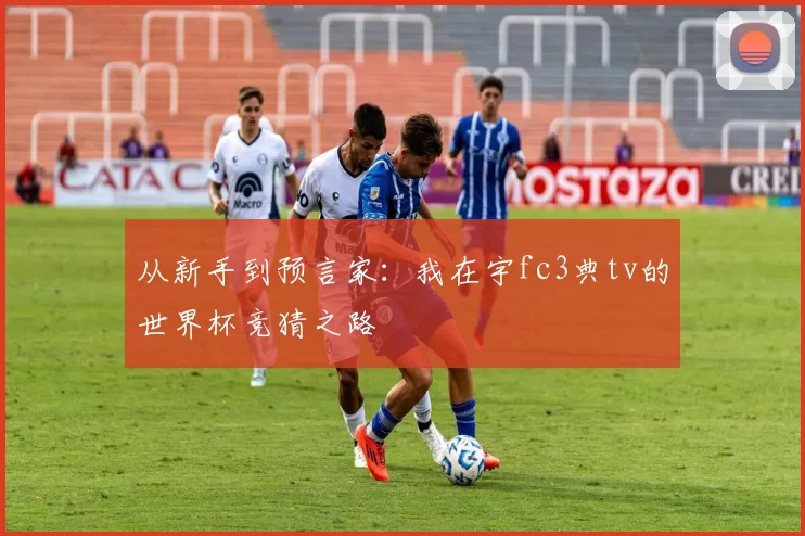 从新手到预言家:我在宇fc3典tv的世界杯竞猜之路