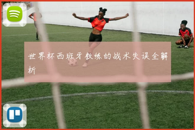 世界杯西班牙教练的战术失误全解析