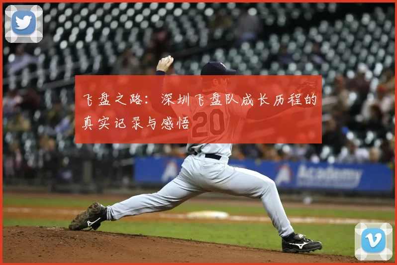飞盘之路:深圳飞盘队成长历程的真实记录与感悟
