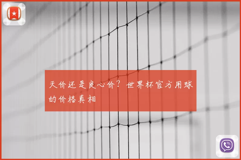 天价还是良心价?世界杯官方用球的价格真相