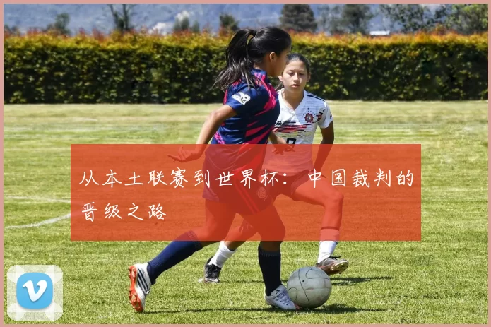 从本土联赛到世界杯：中国裁判的晋级之路