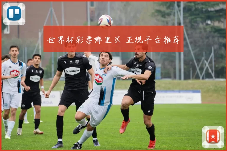世界杯彩票哪里买 正规平台推荐