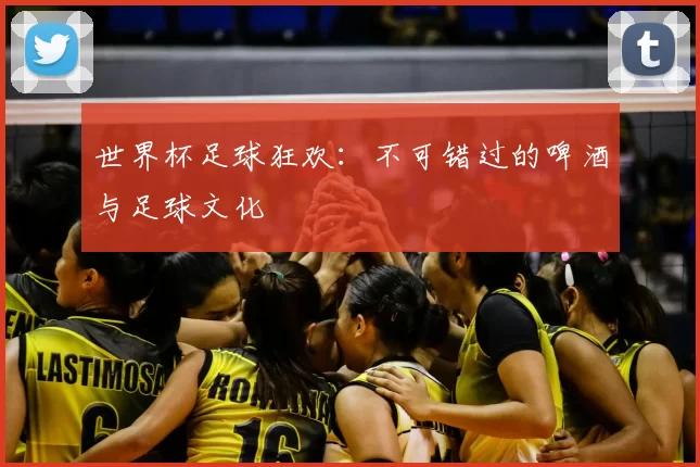 世界杯足球狂欢:不可错过的啤酒与足球文化