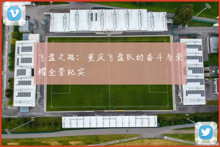 飞盘之路:重庆飞盘队的奋斗与荣耀全景纪实