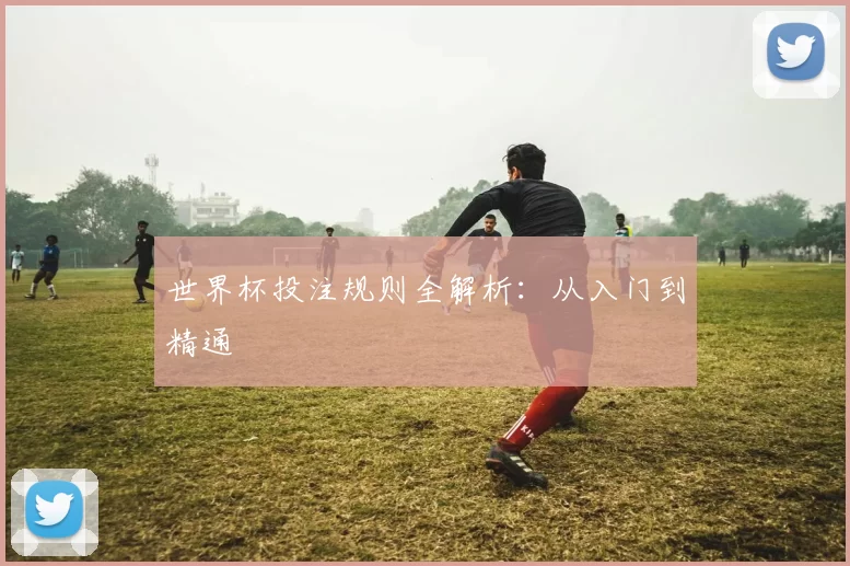 世界杯投注规则全解析:从入门到精通
