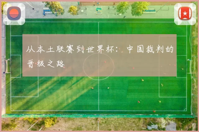 从本土联赛到世界杯：中国裁判的晋级之路